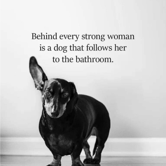 Meet your Posher, Deborah - Picture 15 of 15